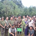 SARAH Gangtok Leads Sterilization Drive for Stray Dogs in Namchi